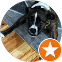 Michael Richards profile picture